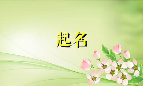 2024年4月19号出生魏姓宝宝取名叫什么