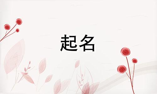 过年出生的宝宝取名带年字好不好