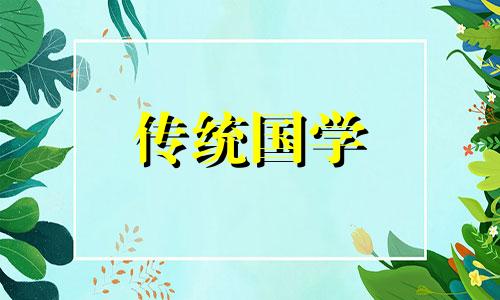 公司大堂绿植摆放大气好吗