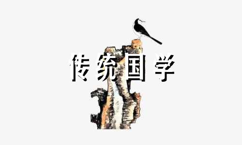 鸟屎掉头上有什么预兆 是福是祸