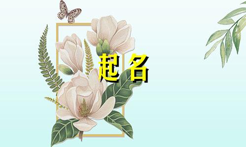 姓龙女孩名字简单大方洋气