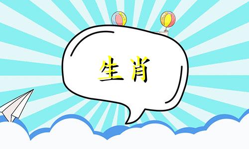 属狗的2024年是不是不好 属狗运势2024年运势详解