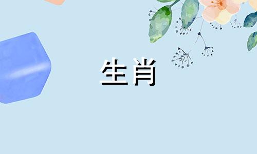 5月属兔,属龙,属蛇运势如何