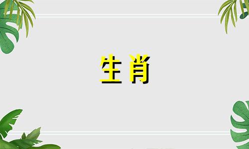 属相兔和鸡属相合不合婚姻