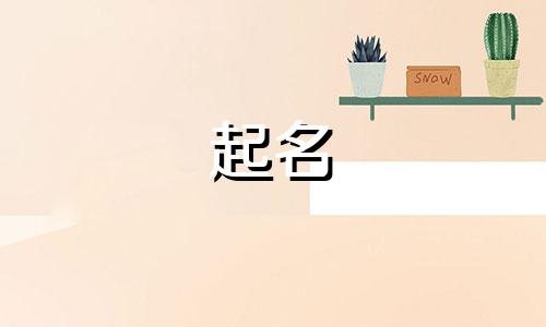 姓公的女孩名字有意境 姓公的起什么名字好