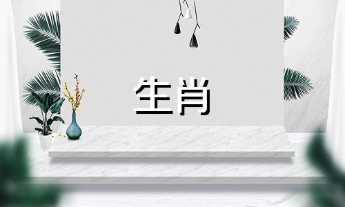 2024年谁是龙年吉祥的属相呢