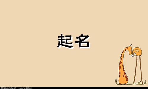 2024甲辰年新潮科技公司名字推荐