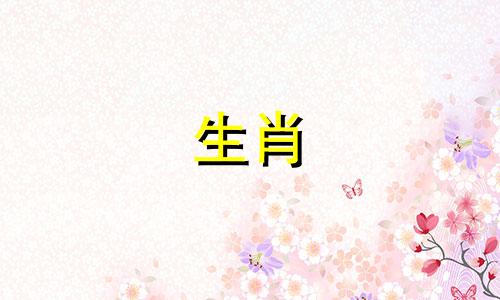 属马人今年几月有桃花运呢