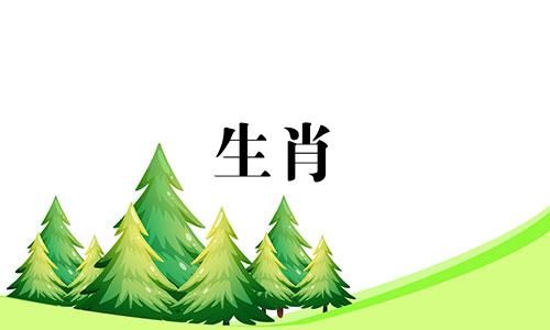 这种八字女人旺夫旺家庭怎么办