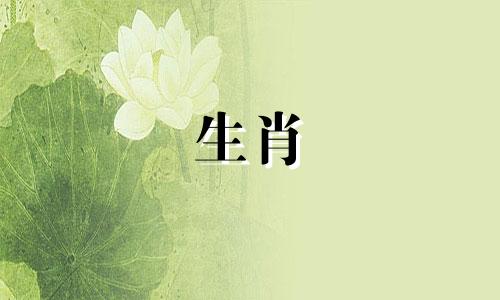 98年属虎2024年运势及运程