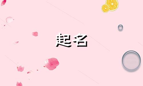 有创意的软件公司名字大全