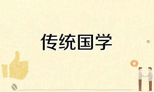 鸟儿进屋是好事还是坏事 飞鸟进屋十大预兆视频