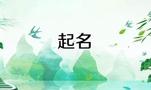 五行属水的人开公司起什么名字