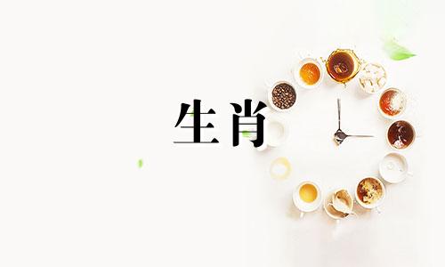 八字里的食神星代表着什么意思