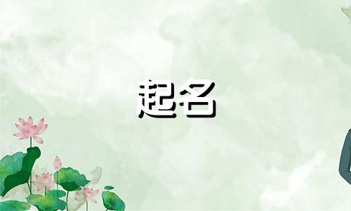 蔬菜批发部取名字带喜字好吗