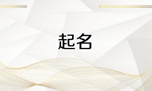 公司两字名字带鲁字有啥寓意