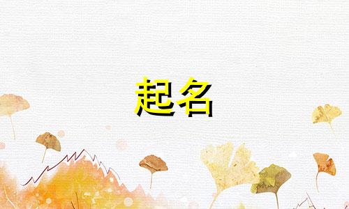 远字起公司名两个字大全女孩