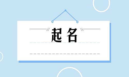 100个可爱洋气的公司名字大全