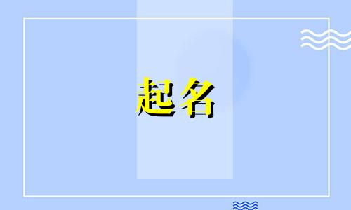 公司起名带林字的四个字大全