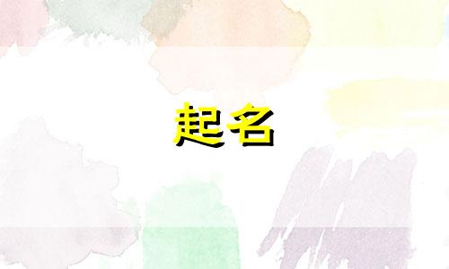 贸易公司的多元化命名选择是什么