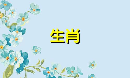 04年属猴人今年几岁了啊 04年的猴多少岁