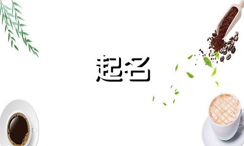 晋字取名女孩名字大全 名字晋什么好听的名字