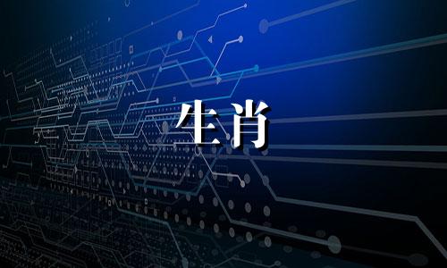 2024年属牛人的正缘桃花生肖是什么