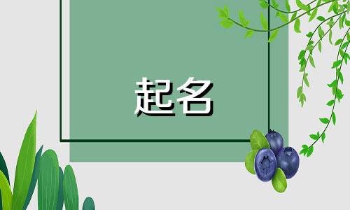 五行属水带财运的公司名字大全四个字