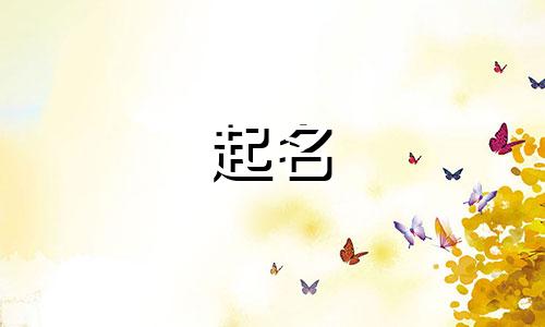 创业比较有创意的旅游公司名字怎么取