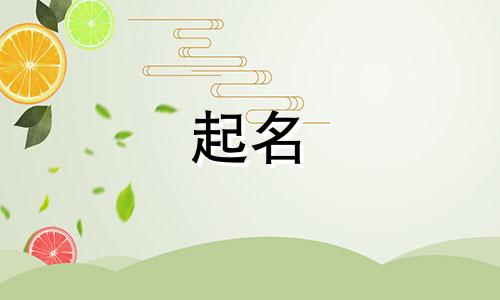 龙年宝宝起名有创意宝宝名字怎么取