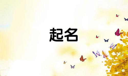 孟姓男孩名字2024年8月怎么取名