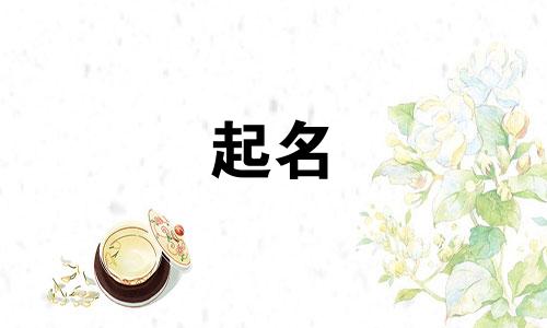 萧姓女孩名字2024年8月怎么取名