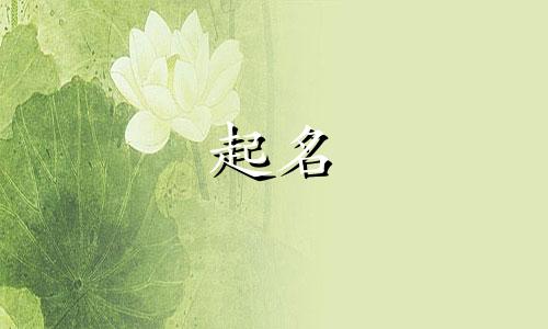 一听就很干净的名字女微信名