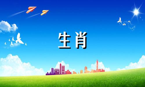 2024年属马女全年运势如何1978