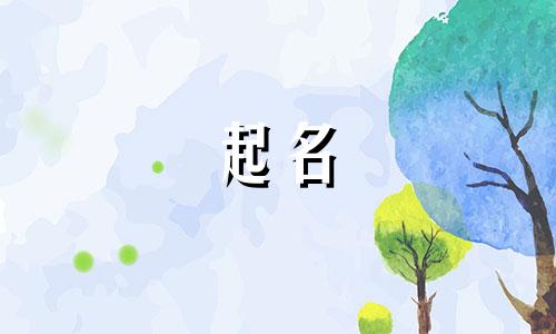 五行属木火的装修公司名字大全