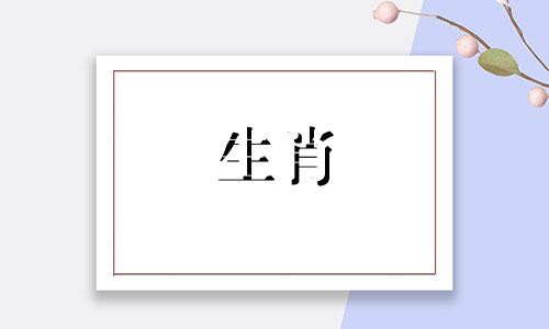 52年属龙人本命年运势如何