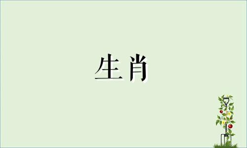 丙子日出生的人八字命运如何?