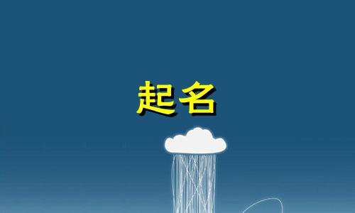 带尊字的公司名字有哪些好听