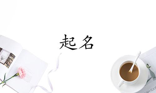 怎么贸易公司起名字好听 贸易公司起名字大全