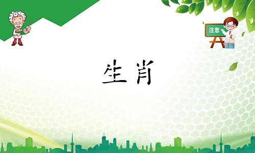 属马的人2024年下半年运势及运程详解