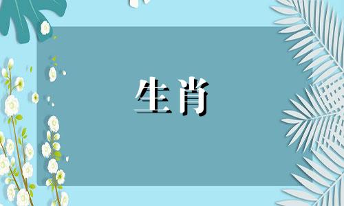 本命年为什么要穿红衣服，2025年哪些生肖需要穿红衣服