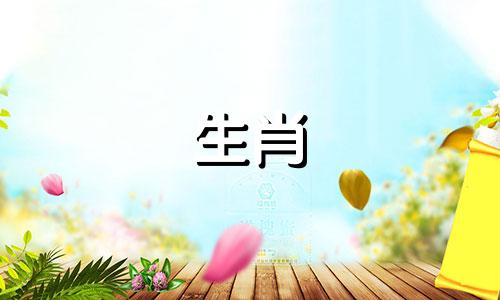 哪些八字的人的感情中容易出现小三呢