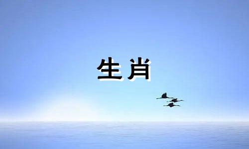 生肖蛇和什么生肖比较合 生肖蛇和什么生肖相配指数高