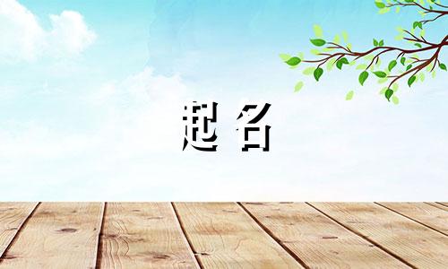 好听的服装公司名称大全 好听的服装公司名称两个字