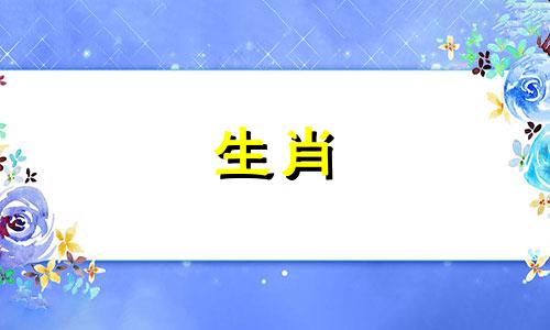 属兔2024年运程及运势详解视频