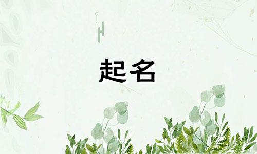 财运旺的公司名字大全两个字