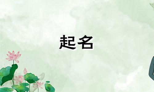 谢姓女孩名字好听大方两个字