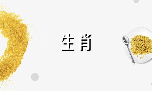 1961年属牛的最佳配偶属相