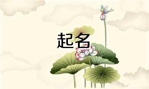 五行缺金取公司名字什么字最好