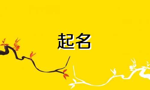 田姓女孩名字2024年9月怎么取名